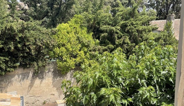 Castries - old center - 15 km from the beaches