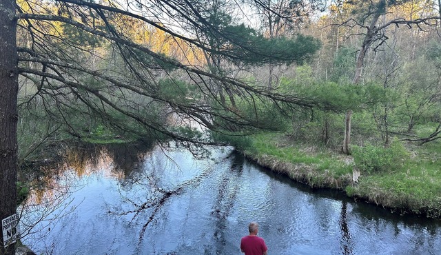 Casual cozy Baldwin River 3 Bedroom Cabin. Fish on site, ATV, Canoe nearby.