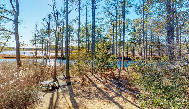 Cat Hill house with free WiFi and canal access