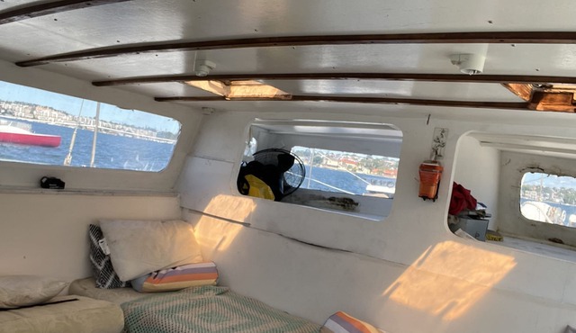 cat inn a b&b type accomodation Sydney harbour