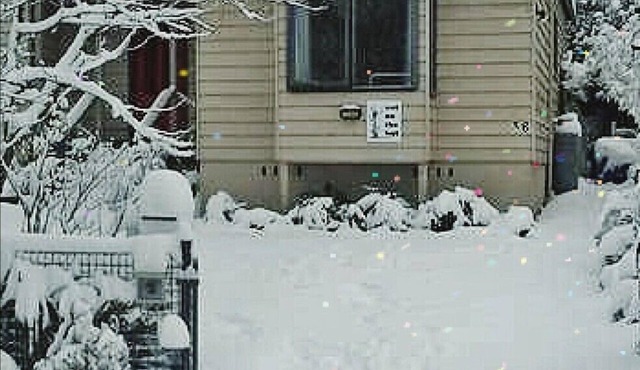 Cat On The Hat Cottage ~MeOw MeOw~n5 stars 🌟 🌟 🌟 😻 propertynPURRRRFECTn