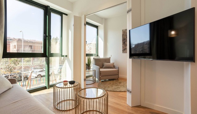 Catalina 104 apartment in Madrid