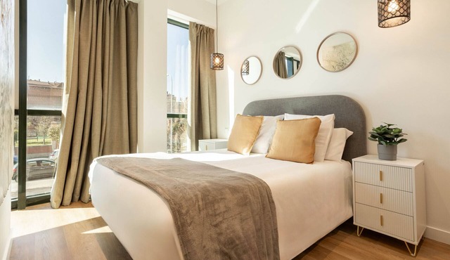 Catalina 105 apartment in Madrid