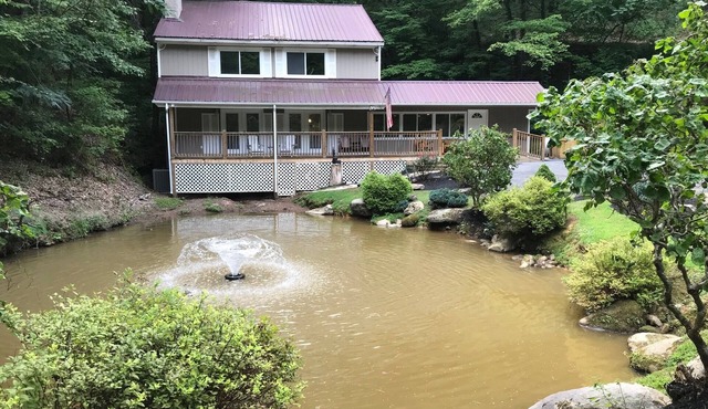 Catch & Release; Fishing Pond, Creek, FIOS Wifi Internet, Secluded