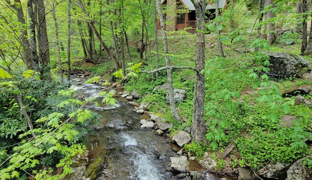 Catch & Release - Trout Stream, Wi-Fi, Pool Table