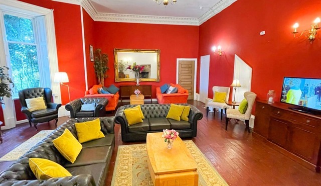 Catcune Deluxe Suite