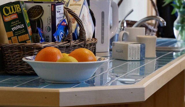 CATSKILL CABIN 3 — 15% OFF-Casual, Luxurious, Clean & Cozy Getaway on 183 acres