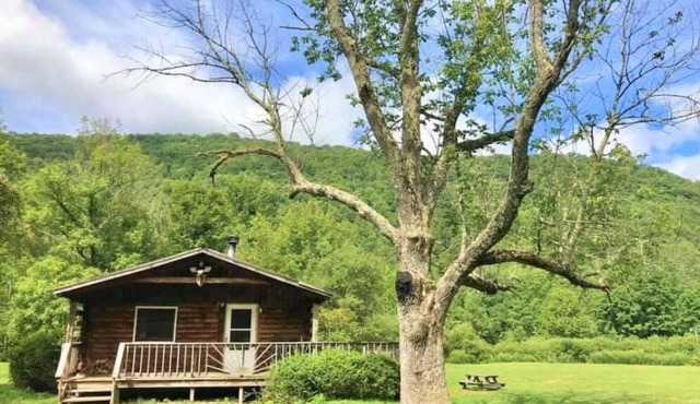 Catskill Cabin with Fireplace 2 br
