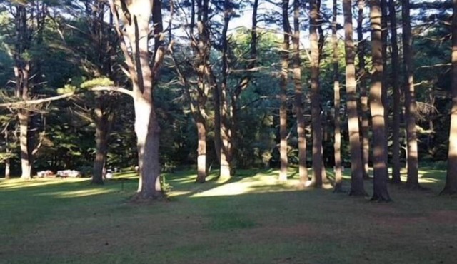 Catskill Motor Court Motel