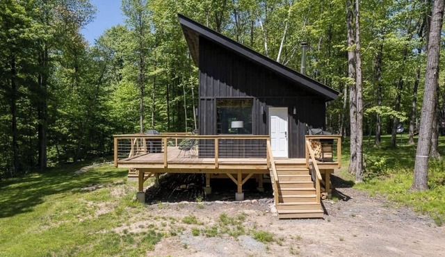 Catskills, 5 Acres, Large Deck + BBQ | Tiny House