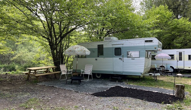 Catskills Beautiful 1964 Vintage Camper "Fannie"