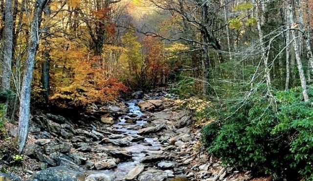 Cattail Creek, Hiking, Fishing, Creeks,Fireplace, Mtns, Scenic Views, WiFi