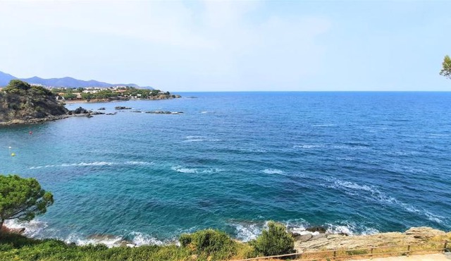 CAU DEL LLOP 6