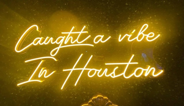 Caught a Vibe In Houston -Hot Tub (5 min from Downtown)