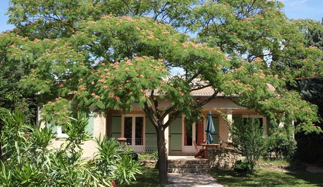 Caumont Sur Durance: houses /villas - 7 rooms - 6/8 persons