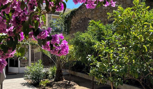 CAURO, pleasant house, 12 minutes from the sea and hiking trails