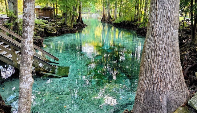 Cave Howse! A newer 3 bedroom, 2 bath spacious house in downtown High Springs.