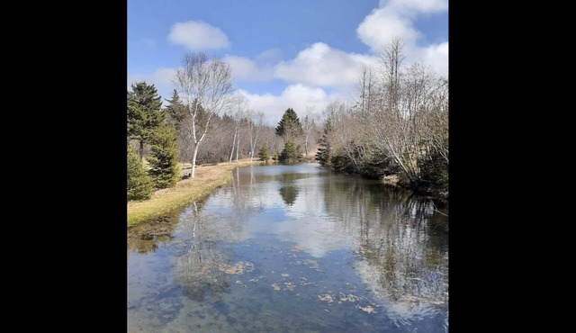 Cavendish Country Escape - Cottage on Beautiful P.E.I.