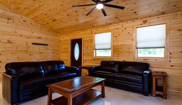 Cayuga Lake Cabins, Gorgeous Log Cabin home, Cabin C, fire pit, dog friendly