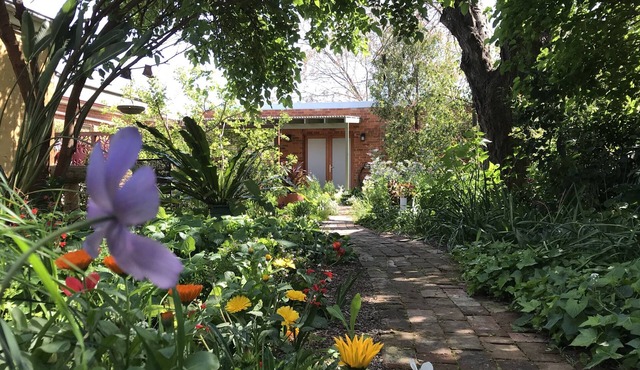 CBD luxury - near cafes, parks & art. Free bikes