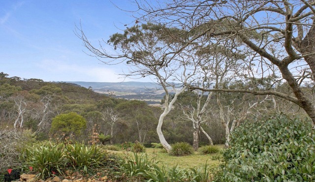 Cecils Chair Blackheath Blue Mountains