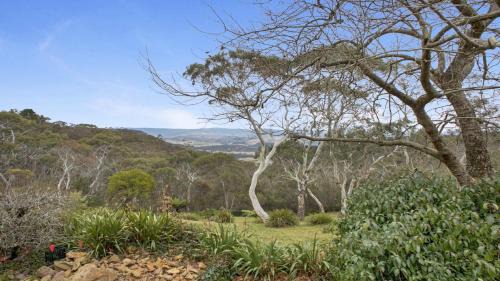 Cecils Chair Blackheath Blue Mountains