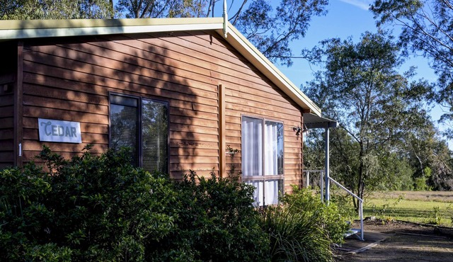 Cedar Cabin 1 - 2 bedroom with 1 x queen and 1 King or 2 king singles + sofa bed