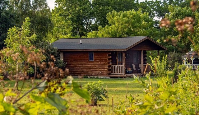 Cedar Cabin: Dog friendly cabin w/private hot tub & breakfast delivered daily!