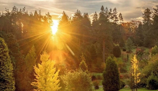 Cedar Cabin Overlooking Bedgebury Forestnn