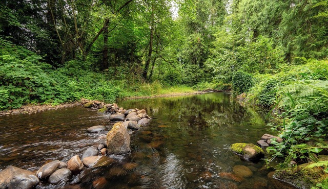 Cedar Creek Cabin Mt Hood Access Peaceful