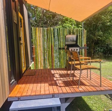 Cedar Creek Falls by Tiny Away