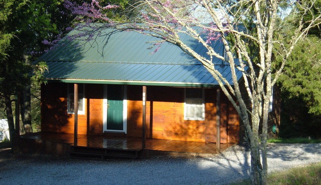CEDAR CREST CABIN NEAR DOUGLAS LAKE. 30 MILES AWAY FROM GATLIN BURG.