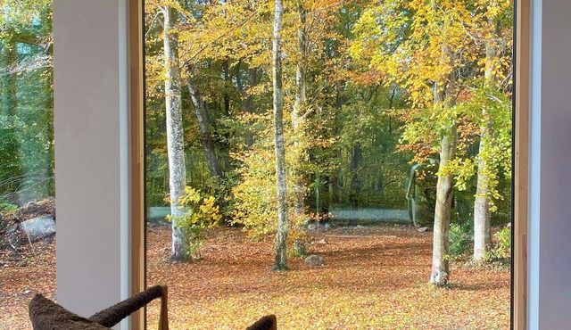 Cedar house on 3000 m² forest plot in Mariager