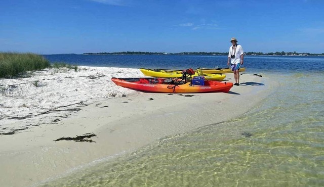 Cedar Key Fishing, Wildlife , BEACHES, PET FRIENDLY