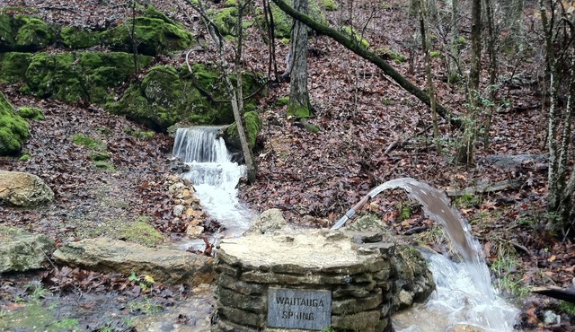 Cedar log cabin overlooking spring-fed ponds with waterfalls at Wautauga Springs