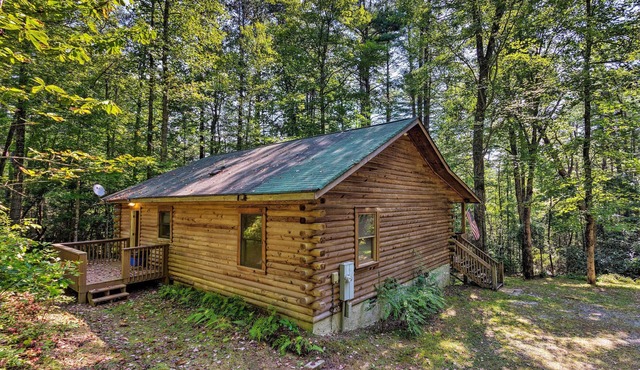 Cedar Mountain Log Cabin: 4 Mi Dupont State Forest