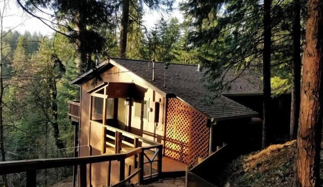 Cedar Pines Cabin w/Fire Pit & Large Deck - BIG Trees - A Quaint Rustic Charmer