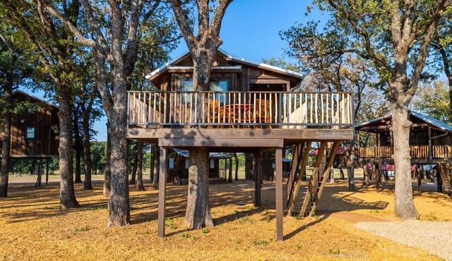 Cedar Waxwing Treehouse(15 MIN to Magnolia/Baylor)