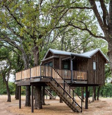 Cedar Waxwing Treehouse15 MIN to MagnoliaBaylor