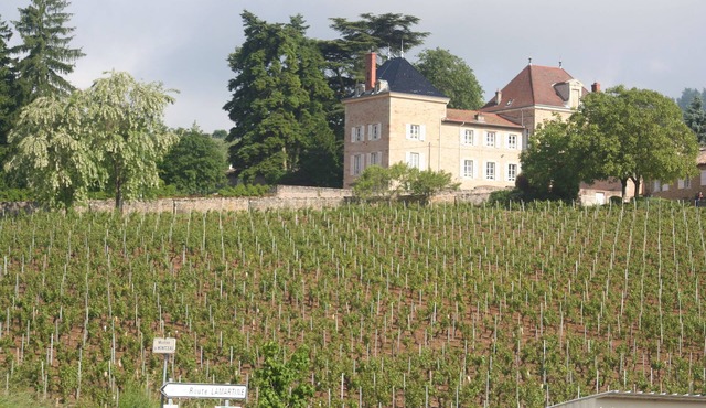 Cèdre-Monceau, in the heart of the vineyards, family stays, seminars, events.