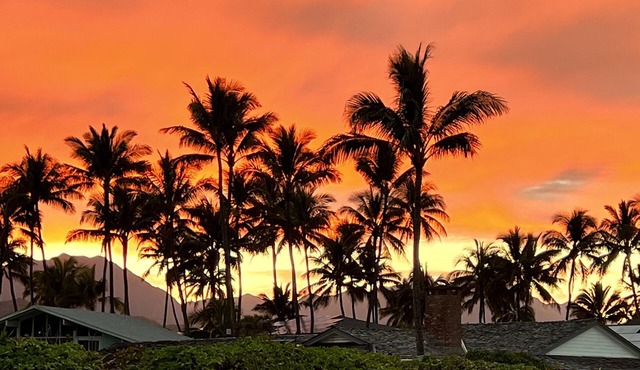 Celebrate America's 250th Birthday & Kailua Fireworks from Beachfront Lanai