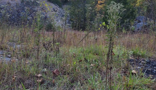 Celtic Glen Farm Stay - Quarry Siten