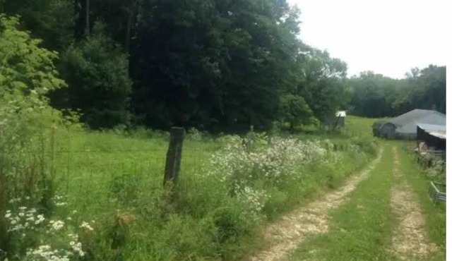Celtic Glen Farm Stay - Shady pasture overlookn