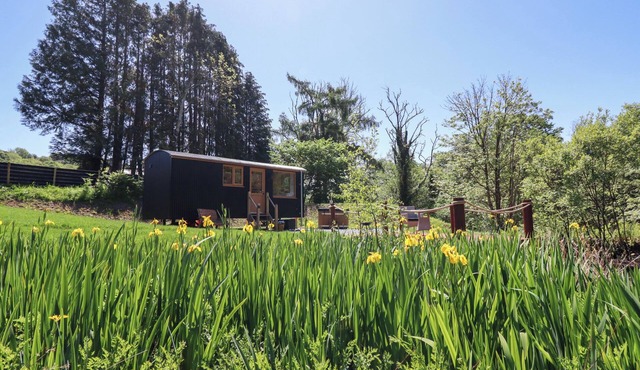 CELYN, pet friendly, with hot tub in Dolgellau