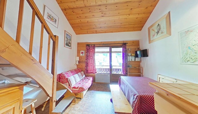 Center, 2 rooms + mezzanine, balcony, elevator, 6 beds