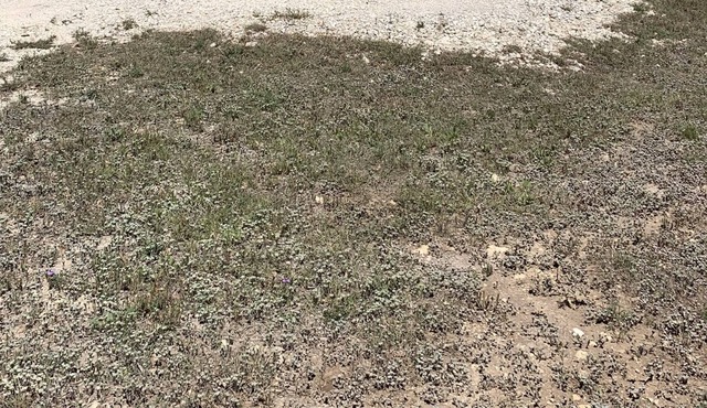 Center Point, Kerrville, Bandera, Fredricksburg centrally located