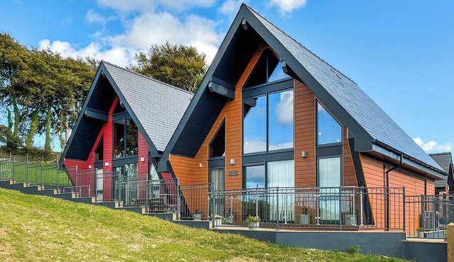 Centilen Pedr - Daffodil - UKC7078