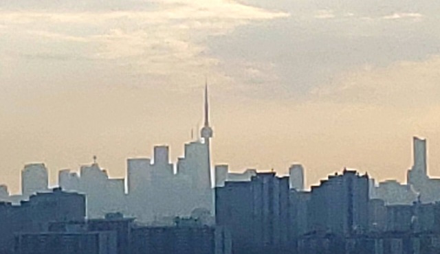 Central 1+den