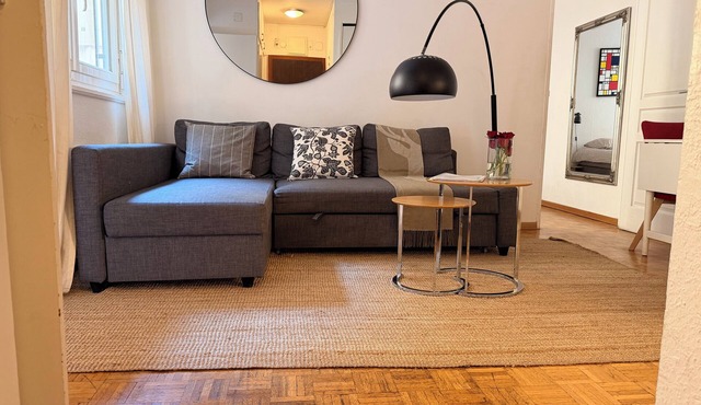 Central 2 bedroom apartment in heart of Eaux-Vives