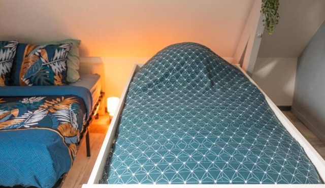 CENTRAL 55m2 - 4 PERSONNES - COSY - PROCHE NAUSICAA